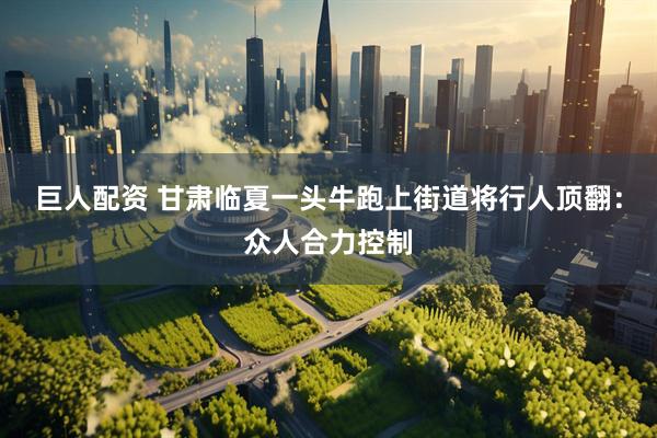 巨人配资 甘肃临夏一头牛跑上街道将行人顶翻：众人合力控制