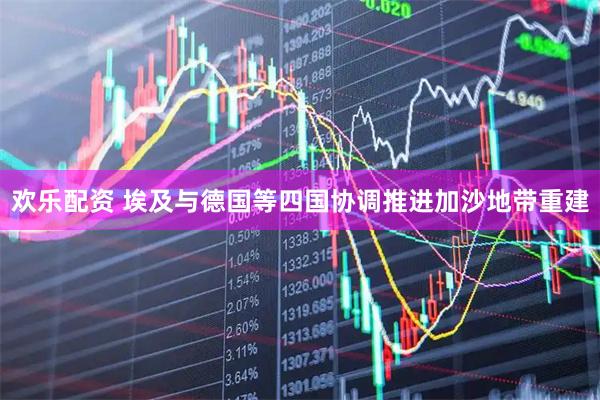 欢乐配资 埃及与德国等四国协调推进加沙地带重建